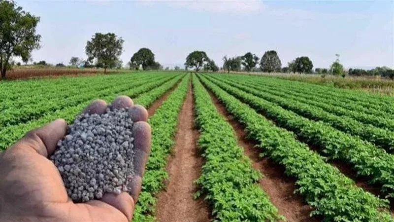 أزمة نقص الأسمدة،