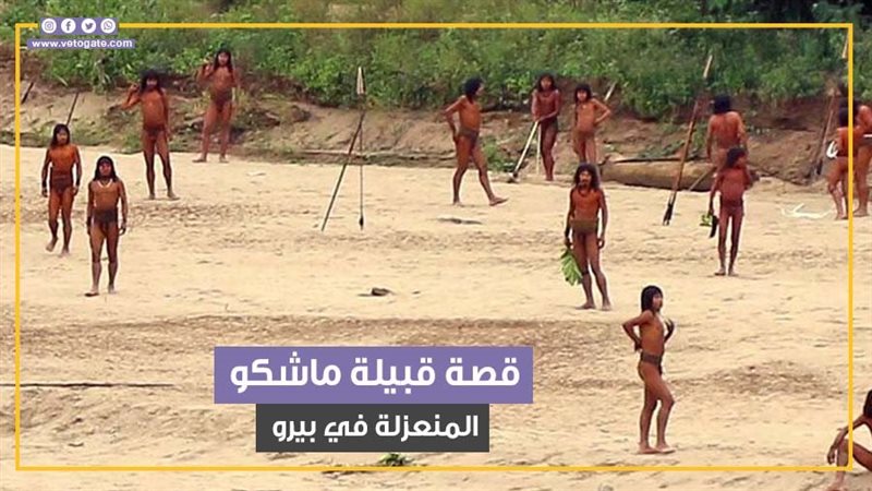 قبيلة ماشكو، فيتو
