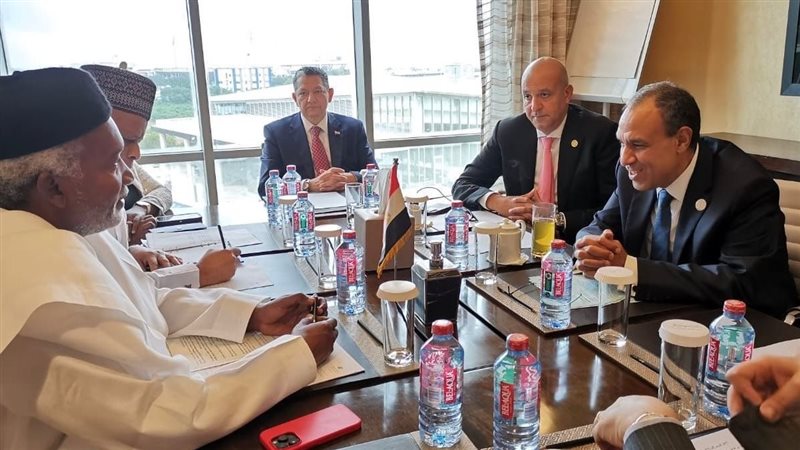 بدر عبد العاطي وزير