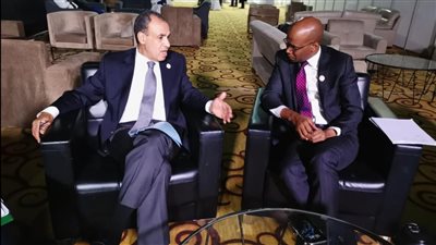 وزير الخارجية: مصر بالمركز الثامن في قائمة الدول الأكثر استثمارا في تنزانيا