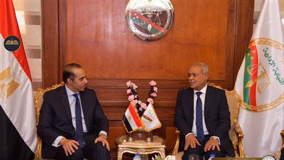 المستشار محمود فوزي يبحث التعاون مع هيئة النيابة الإدارية