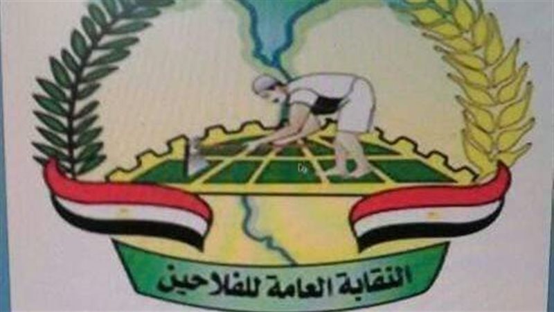 تعيين ضياء البتيتي