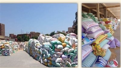 انتظام سير العمل بمنظومة توريد القمح بالشرقية