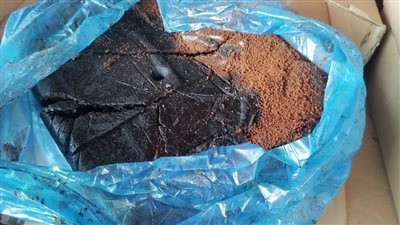 حملة تموينية لإدارة برج العرب في الإسكندرية على مصانع الصناعات الغذائية 