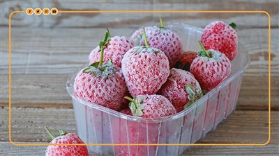 أهم الدول المستوردة للفراولة المجمدة خلال عام 2023 (إنفوجراف)