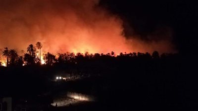 السيطرة على حريق التهم 10 أفدنة برسيم في الوادي الجديد