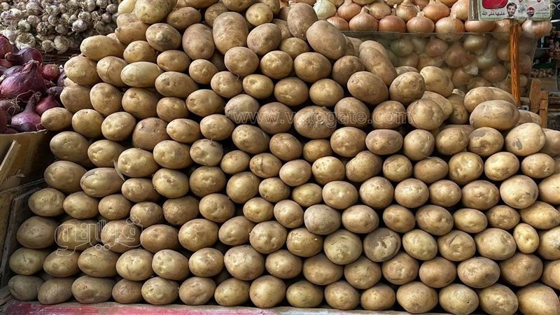 أسعار البطاطس في