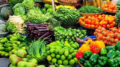 وزير الزراعة: نزرع 9.5 مليون فدان سنويا وصادراتنا تقترب من 12 مليار دولار