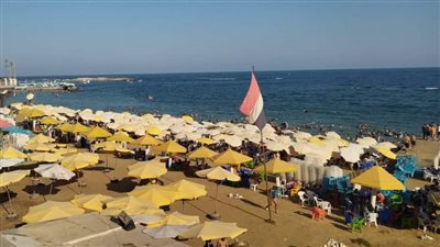 رفع الرايات الصفراء والخضراء على شواطئ الإسكندرية 