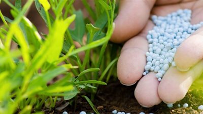 أخبار الاقتصاد: ارتفاع سعر اليوريا، والدواجن تواصل الانخفاض، البورصة تخسر 10 مليارات جنيه في ختام تعاملات اليوم