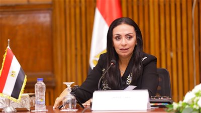 وزيرة التضامن تلتقي أعضاء الهيئة البحثية بالمركز القومي للبحوث الاجتماعية والجنائية