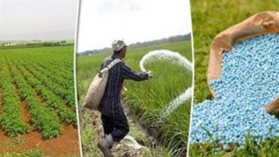 أستاذ زراعة يكشف حلا لأزمة الأسمدة، ويحذر من ارتفاع أسعارها وعدم توافرها