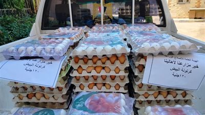 الزراعة تطرح كرتونة البيض بـ 120 جنيها في 7 محافظات 