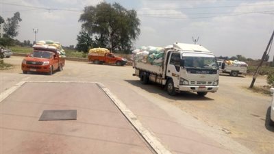 توريد 617 ألف طن قمح لشون الشرقية منذ بداية الموسم 