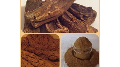 اشتريه من مكان مضمون، القسط الهندي الحل السحري لمشاكل الجهاز التنفسي 