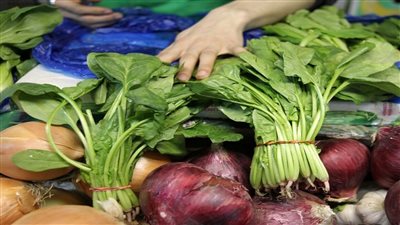 خبيرة تغذية تحذر من تناول السبانخ: خطر على صحة هؤلاء