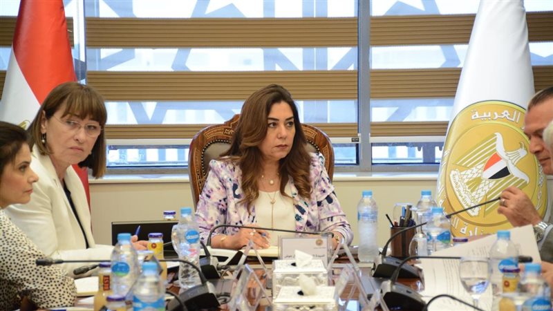 وزيرة التنمية المحلية،
