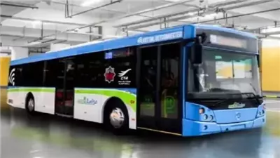 النقل تعلن عن رحلات إلى العلمين، تعرف على المواعيد 