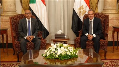 مصر ملتزمة بتعهداتها، تعرف على تفاصيل لقاء وزير الخارجية والهجرة ونظيره السوداني (صور)