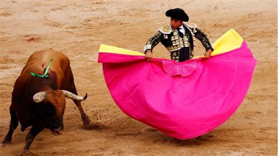 كولومبيا تحظر مصارعة الثيران، اعرف السبب