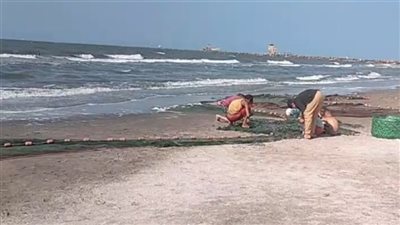 بيان عاجل من مجلس الوزراء بشأن انحسار مياه البحر وحدوث أعاصير مدمرة