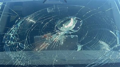 طعام النسر يحطم سيارة تسلا في أمريكا 