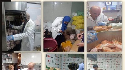 بيطري الشرقية يضبط 2 طن دواجن ولحوم وأسماك مجهولة 