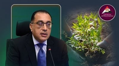 تفاصيل قرار رئيس الوزراء بتشجير المحاور المرورية في القاهرة وعواصم المحافظات