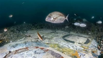 العثور على أرضية فسيفسائية نادرة في قاع البحر