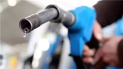 مع ارتفاع أسعار الوقود، الإحصاء: 8 ملايين و242 ألف سيارة تعمل بالبنزين 