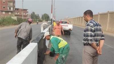 تكثيف أعمال النظافة وتجميل الطرق في مركز الزقازيق 