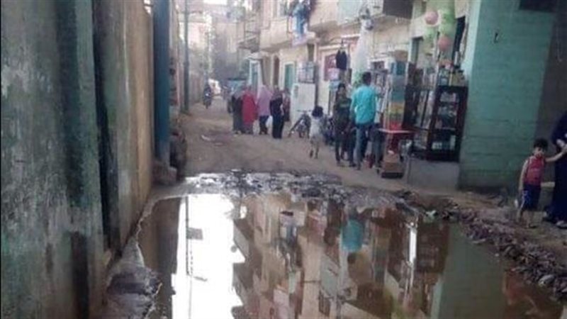 شوارع ميت محسن بالدقهلية