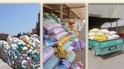 صوامع الشرقية تستقبل 617 ألفا و406 أطنان قمح حتى اليوم 