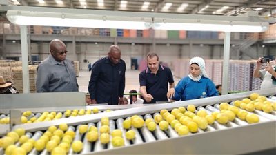 الزراعة: 10 سفراء أفارقة يتفقدون محطات التصدير بالطريق الصحراوى