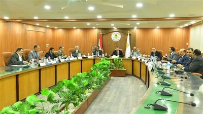 إنشاء كلية للألسن وملفات أخرى في اجتماع مجلس جامعة الوادي الجديد 