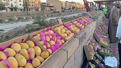 المانجو أشكال وألوان في مهرجان الأقصر على طريق الكباش الفرعوني (بث مباشر)