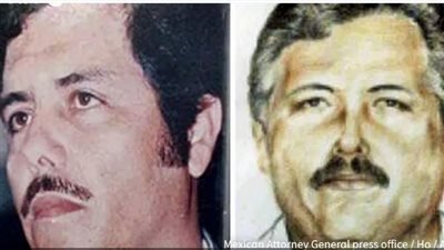 بينهم نجل إل تشابو، القبض على قادة 