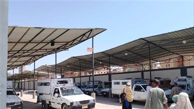 جولات لمسئولي أسوان لمتابعة التزام مواقف السرفيس بتعريفة الركوب الجديدة (صور)