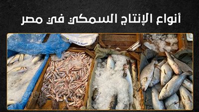 أنواع الإنتاج السمكي في مصر (إنفوجراف)