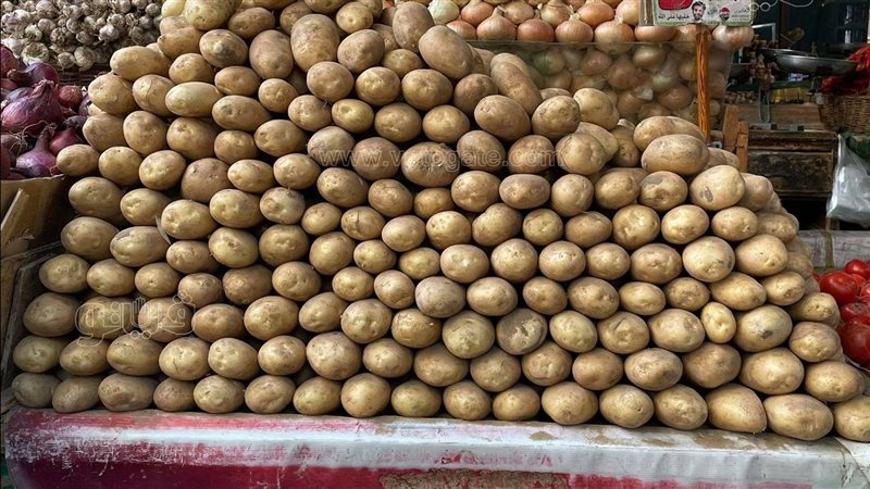 ارتفاع أسعار البطاطس