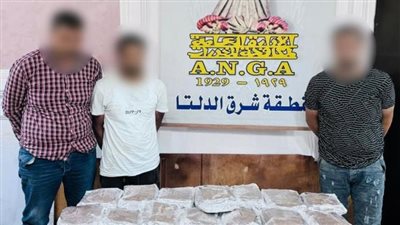 ضبط 3 عناصر إجرامية بحوزتهم كميات من مخدرى الحشيش والشابو بمليون جنيه بالدقهلية 