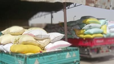 استمرار توريد القمح لشون وصوامع الشرقية حتى اليوم 