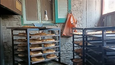 مراقبة الأغذية تكثف حملاتها بالمرور على 176 منشأة في الدقهلية