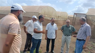 البحوث الزراعية يتابع إنتاج أول أصناف تقاوي وهجن مصرية من اللوبيا والكنتالوب للطرح قريبا