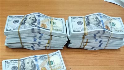 ضبط 115 ألف دولار مزورة بحوزة راكب في مطار شرم الشيخ