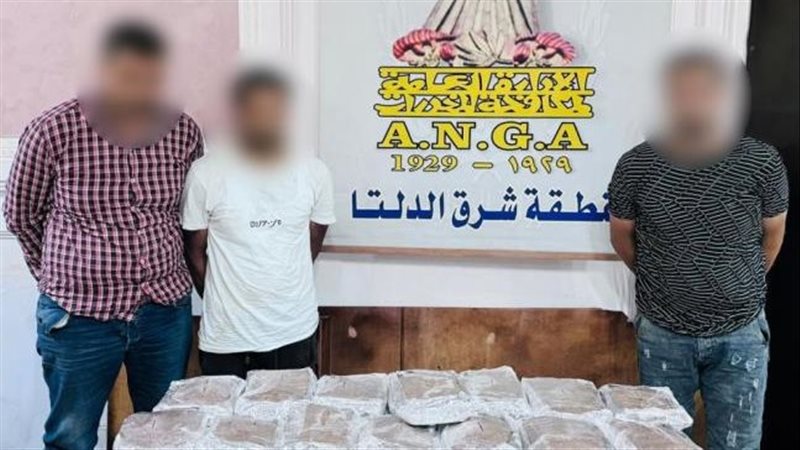 ضبط 3 عناصر إجرامية
