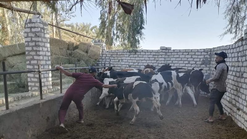 حملة تحصين الثروة