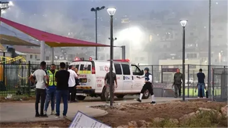 هجوم مجدل شمس،فيتو