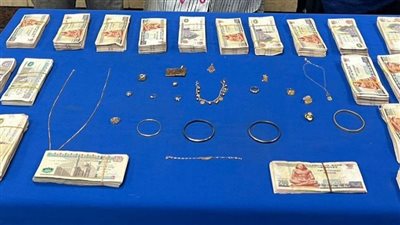 مباحث القاهرة تضبط 14 لصًا لارتكابهم جرائم سرقات متنوعة (صور)