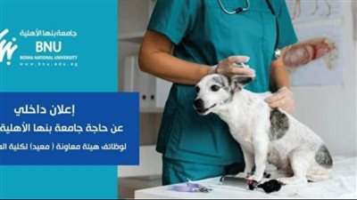 وظائف شاغرة في بيطري بنها الأهلية، مطلوب معيدين بـ 4 تخصصات 